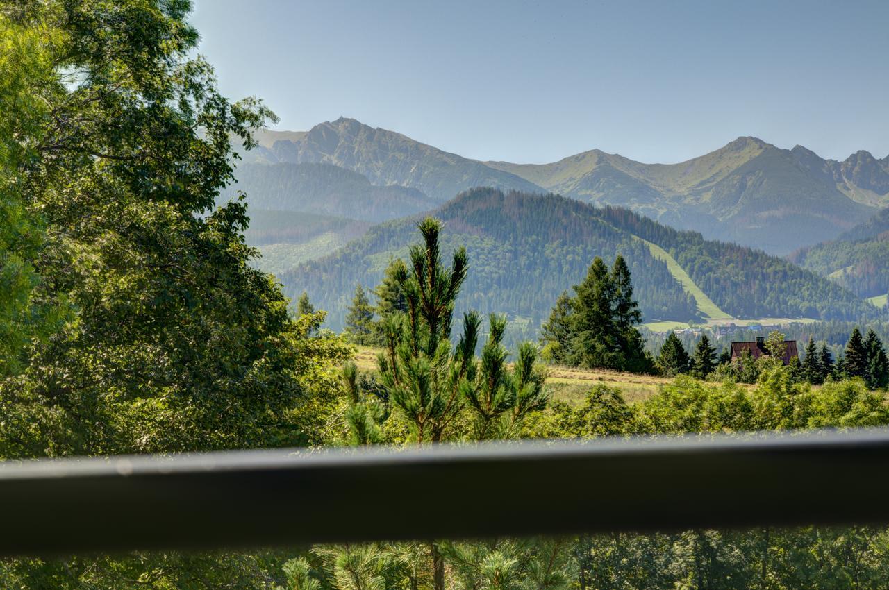Apartamenty Willa Olsza Wood House & Mountain View & Sauna Zakopane Eksteriør billede